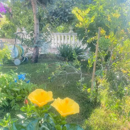 Apartamento Rab Kampor