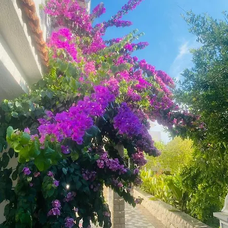 Apartamento Rab Kampor