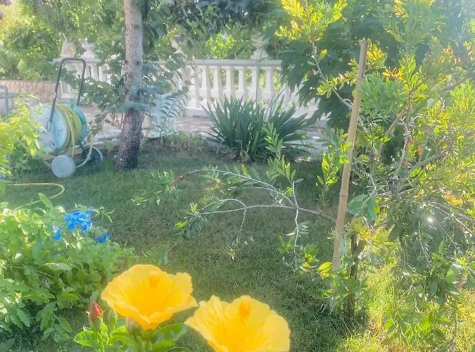 Apartament Rab Kampor