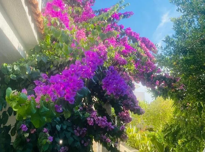 Apartament Rab Kampor